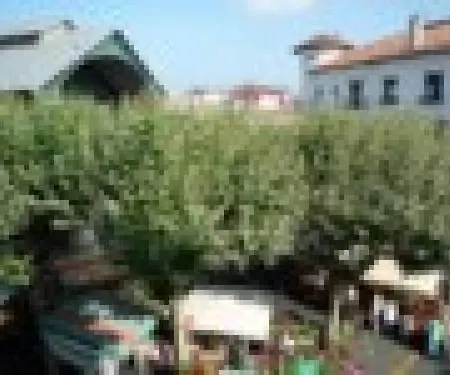 Apartment Donibane - Saint-jean-de-luz Studio Flat 3 Persons